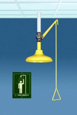 Ceiling Mounted Emergency Shower